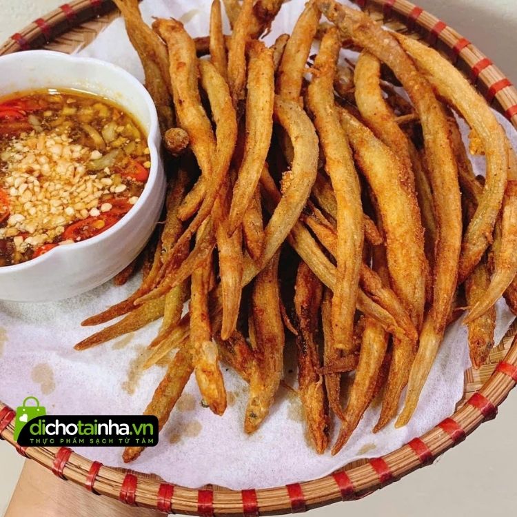 Cá sụn sịn